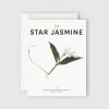Father Rabbit Stationery | The Star Jasmine Card Gifting