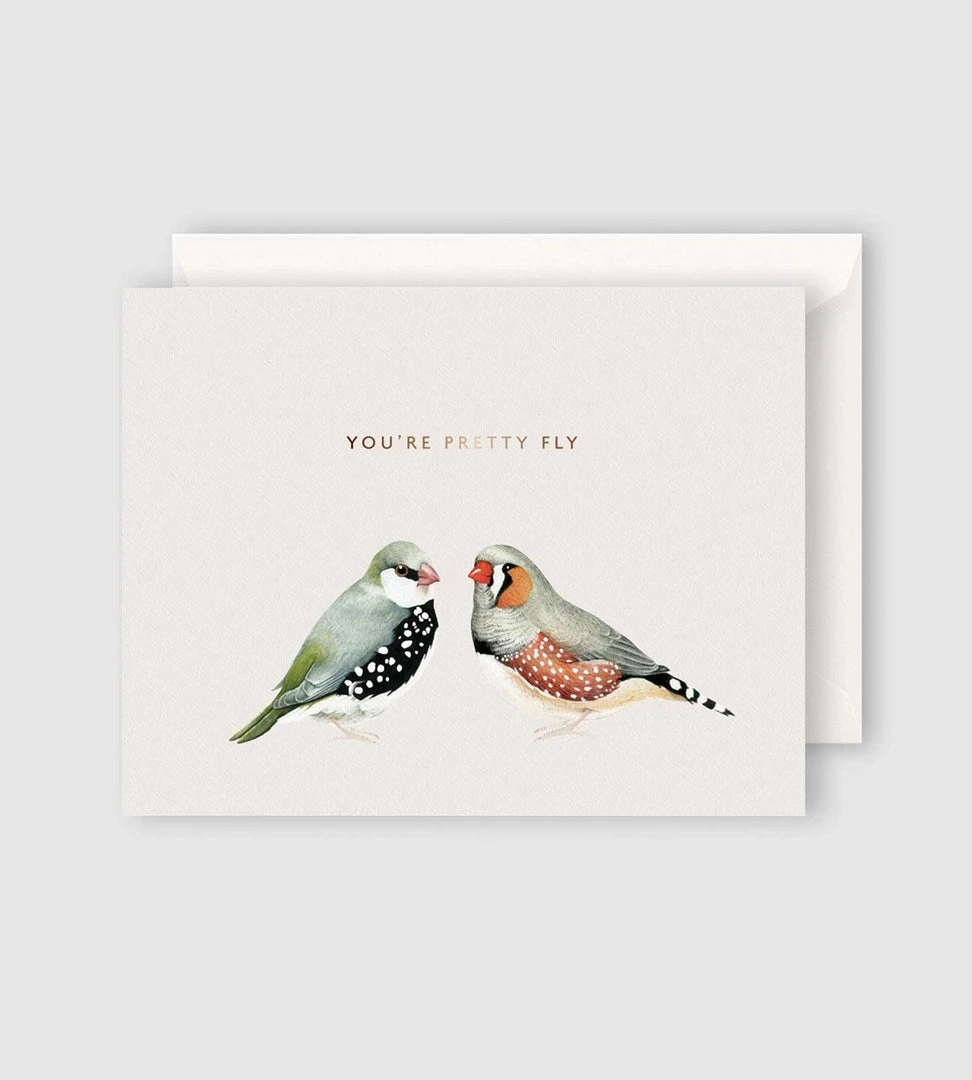 Father Rabbit Stationery | You're Pretty Fly Card Gifting