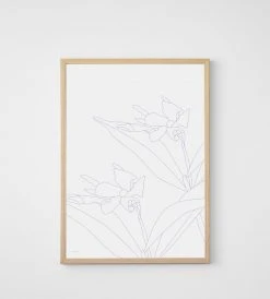 Father Rabbit Limited Homewares Father Rabbit | Blue Jasmine Print