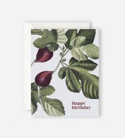 Gifting Father Rabbit Stationery | Happy Birthday Fig Card