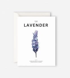 Gifting Father Rabbit Stationery | The Lavender Card