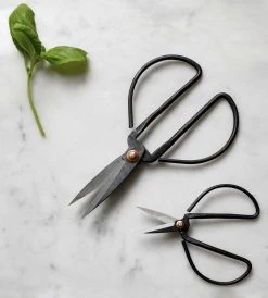 Homewares Father Rabbit Goods | Herb Scissors | Set Of 3