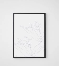 Father Rabbit Limited Homewares Father Rabbit | Blue Jasmine Print