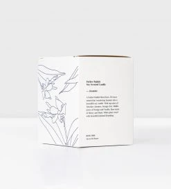 Father Rabbit Goods Homewares Father Rabbit | Soy Scented Candle | Jasmine