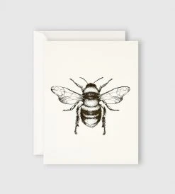 Gifting Father Rabbit Stationery | Bumble Bee Card