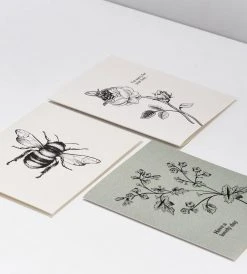 Father Rabbit Stationery | I'm Sorry For Your Loss Rose Card Gifting