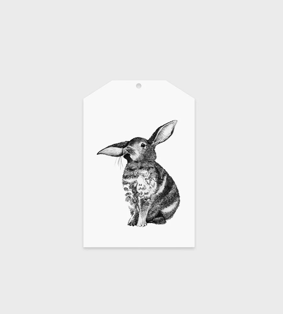 Father Rabbit Stationery Gift Tag | Bunny