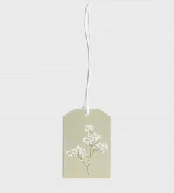 Father Rabbit Stationery | Gift Tag | Blossom Gifting