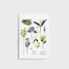 Father Rabbit Stationery Father Rabbit | Notebook | Botanical Chart Homewares