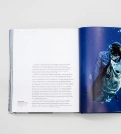 Penguin Books Fish Of The Day | By Clark Gayford & Mike Bhana Homewares