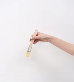 Father Rabbit Kitchenware Flat Pastry Brush | 25mm