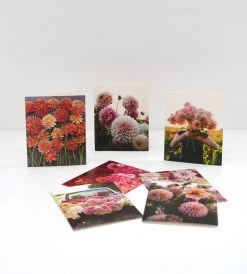 Publishers Distribution Ltd Garden Related Floret Farm's Cut Flower Garden | Dahlia Notes