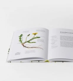 Alliance Distributions Homewares Forage | By Liz Knight