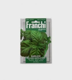 Homewares Franchi Sementi Seeds | Bolloso Napoletano Basil