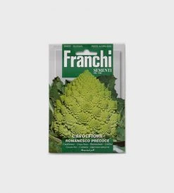 0 Homewares Franchi Sementi Seeds | Romanesco Precoco Cauliflower