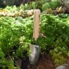 Father Rabbit Garden Tools Garden Tool | Transplanter Trowel