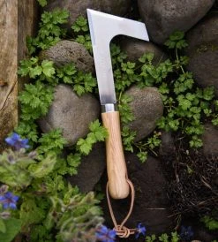 Father Rabbit Garden Tools Homewares Garden Tool | Paving Weeder