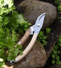 Father Rabbit Garden Tools Garden Tool | Stainless Steel Secateur