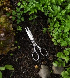 Homewares Pallares Master Kitchen Stainless Steel Scissors | 8