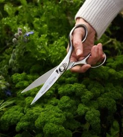 Homewares Pallares Master Kitchen Stainless Steel Scissors | 8