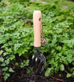 Father Rabbit Garden Tools Garden Tool | Fork