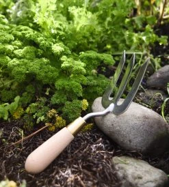 Homewares Garden Tool | Sophie Conran Fork