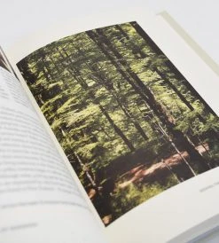 Potton & Burton Ghosts Of Gondwana | The History Of Life In New Zealand | By George Gibbs Homewares