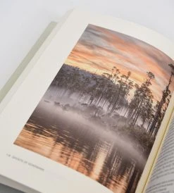 Potton & Burton Ghosts Of Gondwana | The History Of Life In New Zealand | By George Gibbs Homewares