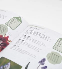 Publishers Distribution Ltd Kew Gardeners Guide To Growing Bulbs Homewares