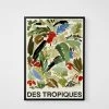 Homewares Hotel Magique | Des Tropiques Green Unframed Print | A2