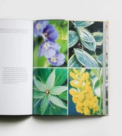 Random House Homewares In The Company Of Gardeners | By Juliet Nicholas & Sue Allison
