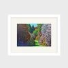 100% NZ Ltd Homewares Karl Maughan | Forest Hill Small Art Print | Framed | White