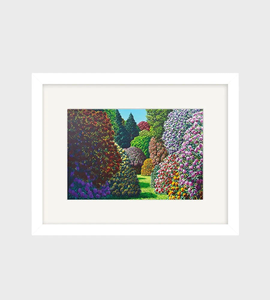 100% NZ Ltd Homewares Karl Maughan | Forest Hill Small Art Print | Framed | White