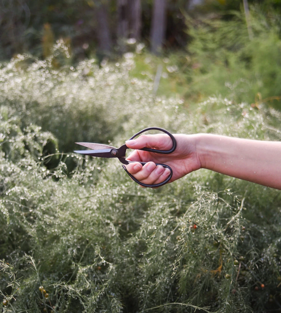 Homewares Father Rabbit Goods | Herb Scissors | Set Of 3