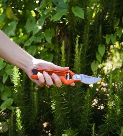 Pallares Pruning Shears | Metallic Handle | 22cm Carbon Steel