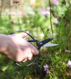 Homewares Father Rabbit Goods | Herb Scissors | Set Of 3