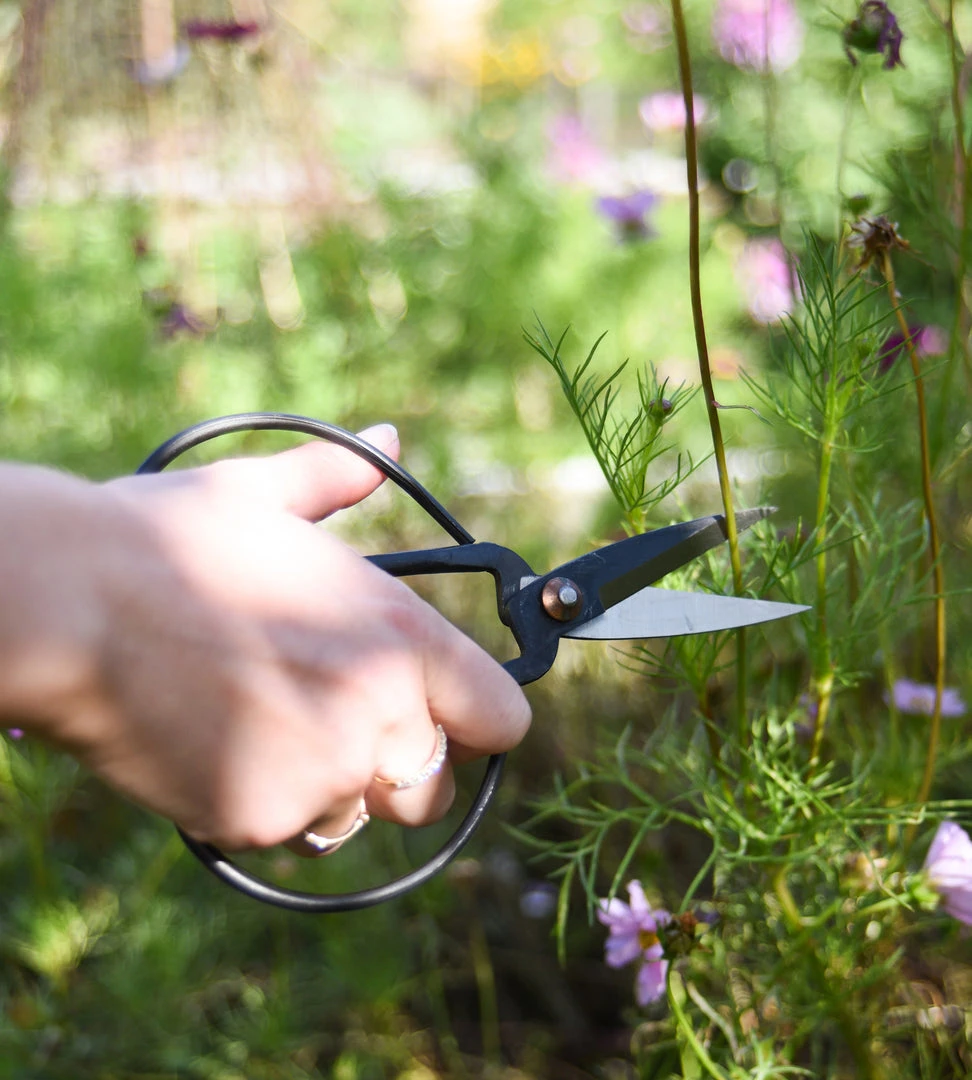 Homewares Father Rabbit Goods | Herb Scissors | Set Of 3