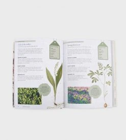 Publishers Distribution Ltd Kew Gardeners Guide To Growing Bulbs Homewares