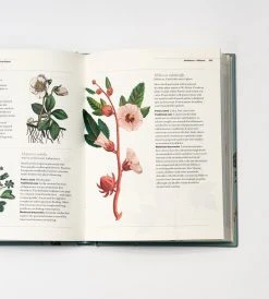 Publishers Distribution Ltd Kew Gardeners Companion To Medicinal Plants