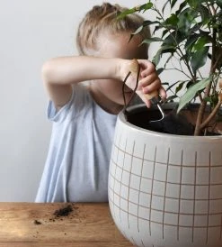 Heaven In Earth Kid's Set Of Garden Tools Homewares