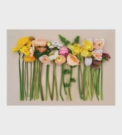 Lettuce | Puzzle | Florist Flower Homewares