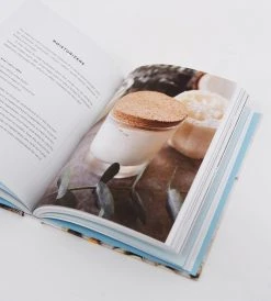 Publishers Distribution Ltd Living Without Plastic | By Brigette Allen And Christine Wong Homewares