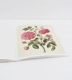 Prestel Publishing Maria Sibylla Merian | The New Book Of Flowers | 22 Pull Out Posters Homewares