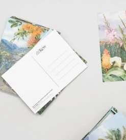 Publishers Distribution Ltd Note Card Sets Marianne North | 100 Postcards