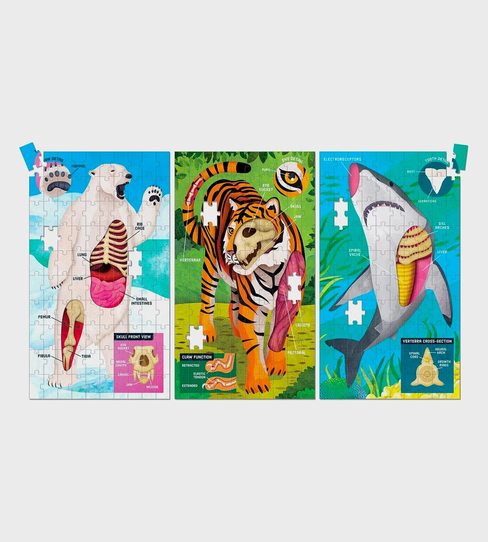 Mudpuppy | Animal Anatomy Science Puzzle Set