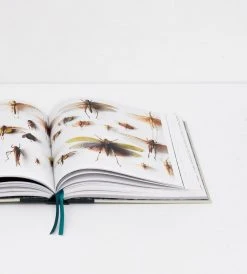 Te Papa Press Homewares Nature | Stilled | By Jane Ussher