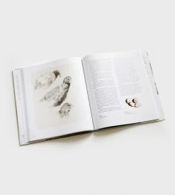 Potton And Burton Books New Zealand Bird Paintings | By Ray Ching Homewares