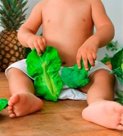 Oli & Carol | Baby Teether | Kendall The Kale Baby + Child