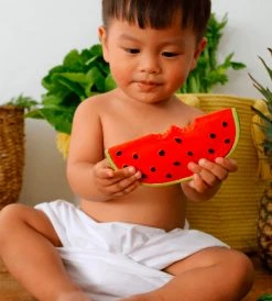 Oli & Carol | Baby Teether | Wally The Watermelon Baby + Child