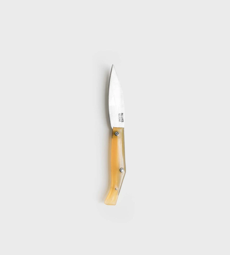 Pallares Pocket Knife | Resin Handle | 10cm Carbon Steel Homewares